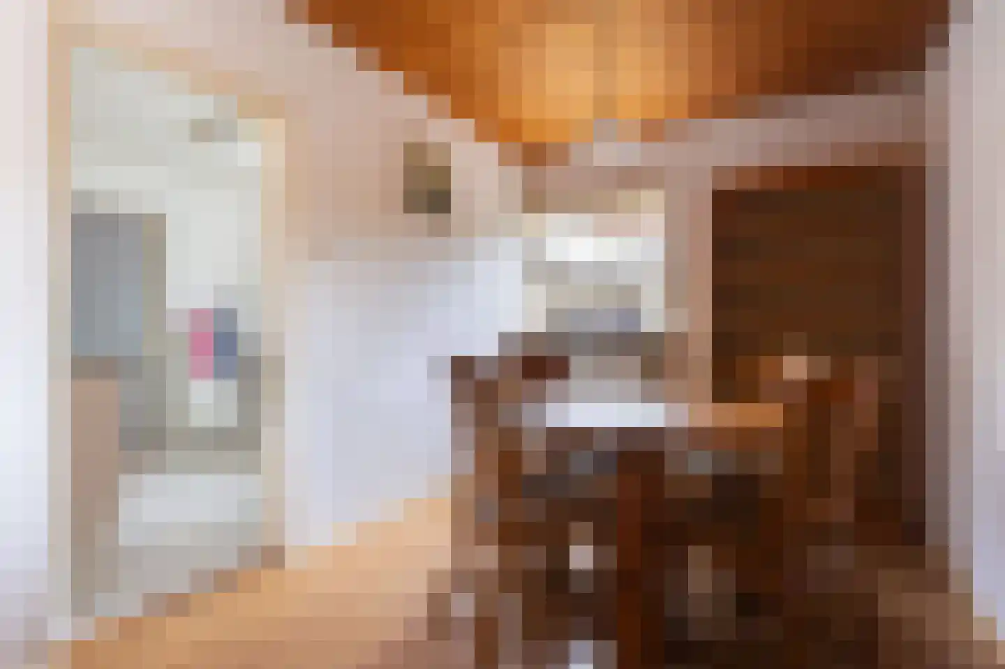 Irisstraat 5 Hippolytushoef thumbnail 17