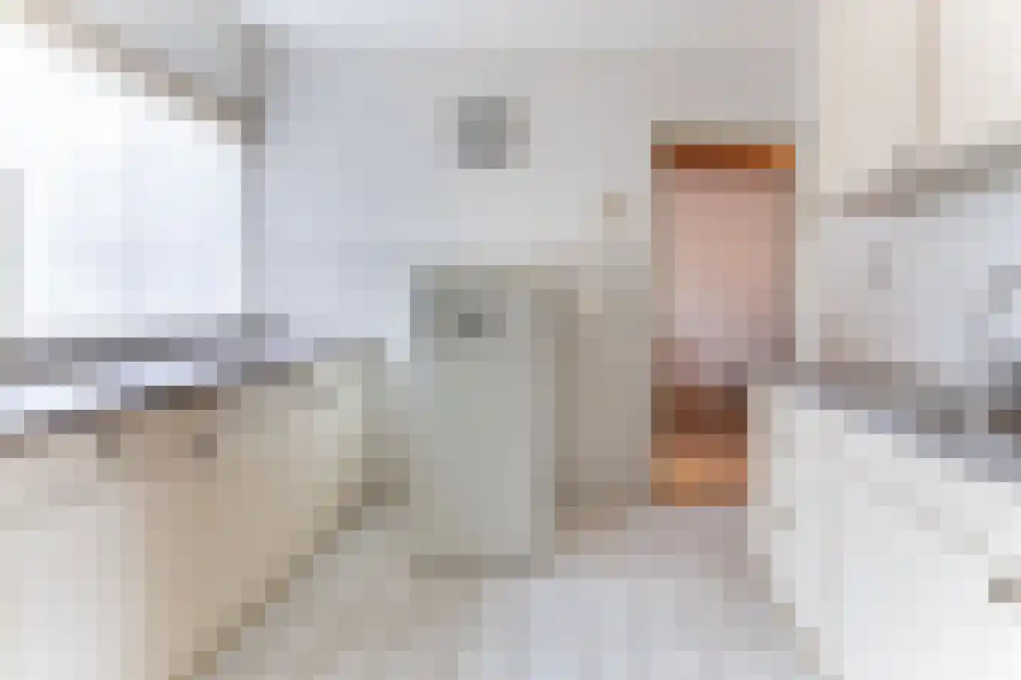 Irisstraat 5 Hippolytushoef thumbnail 19