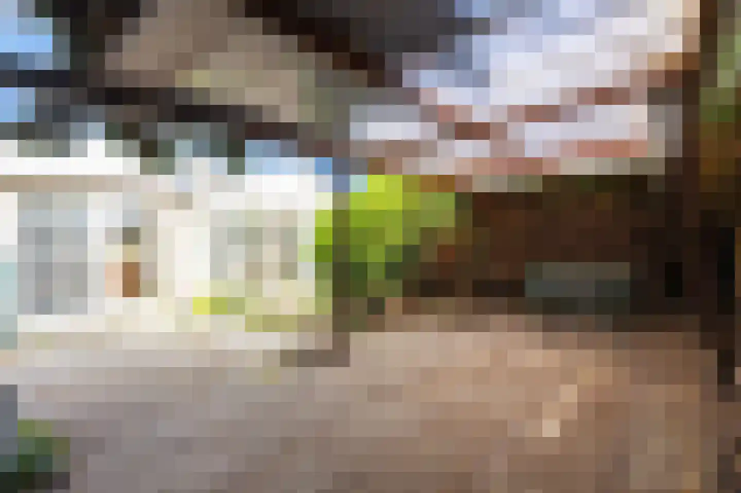 Irisstraat 5 Hippolytushoef thumbnail 31