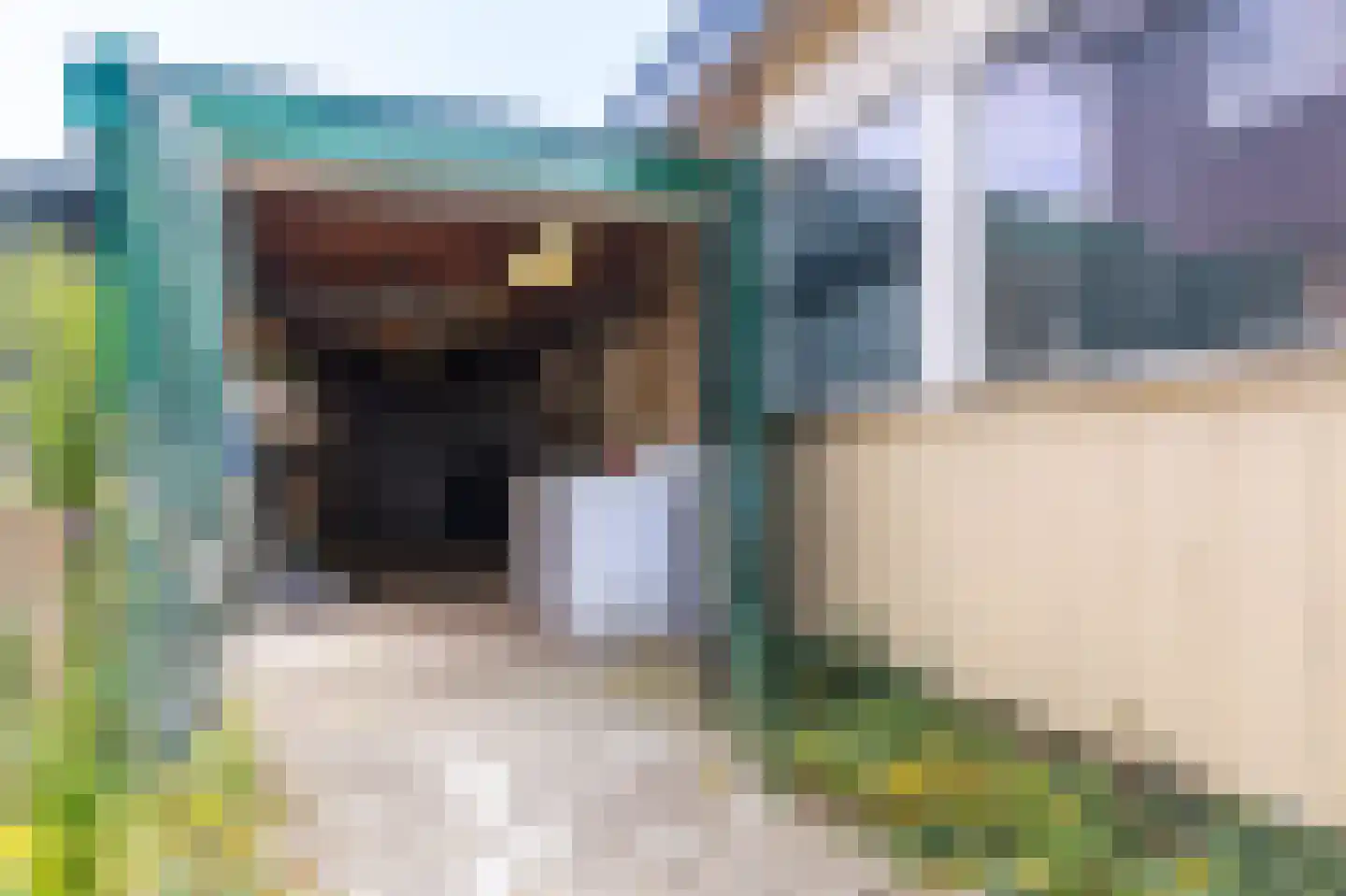Irisstraat 5 Hippolytushoef thumbnail 32