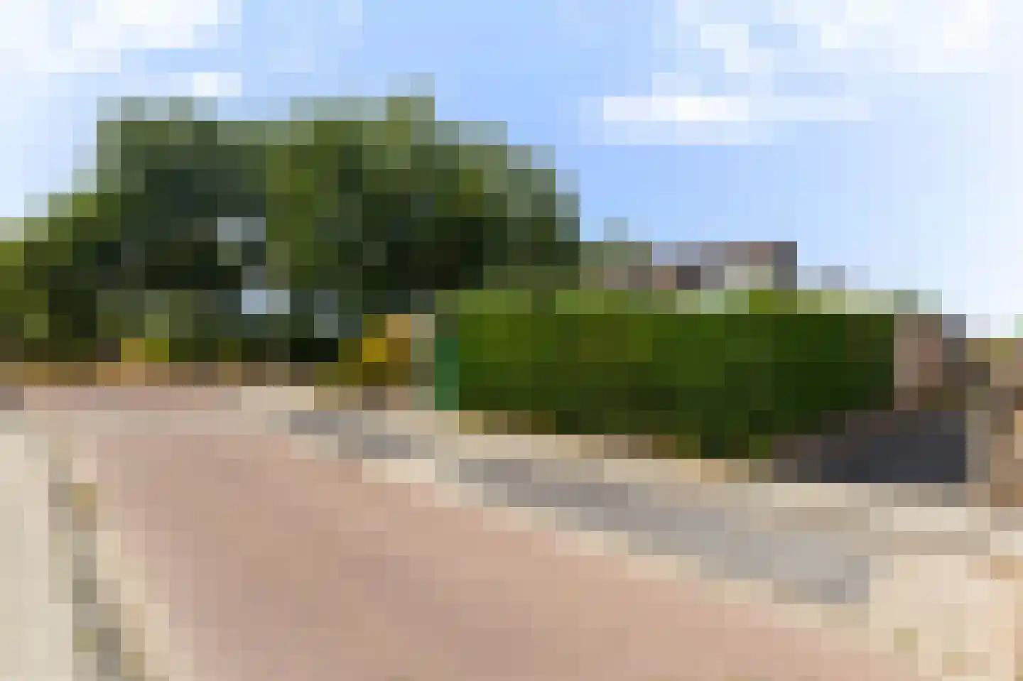 Irisstraat 5 Hippolytushoef thumbnail 34