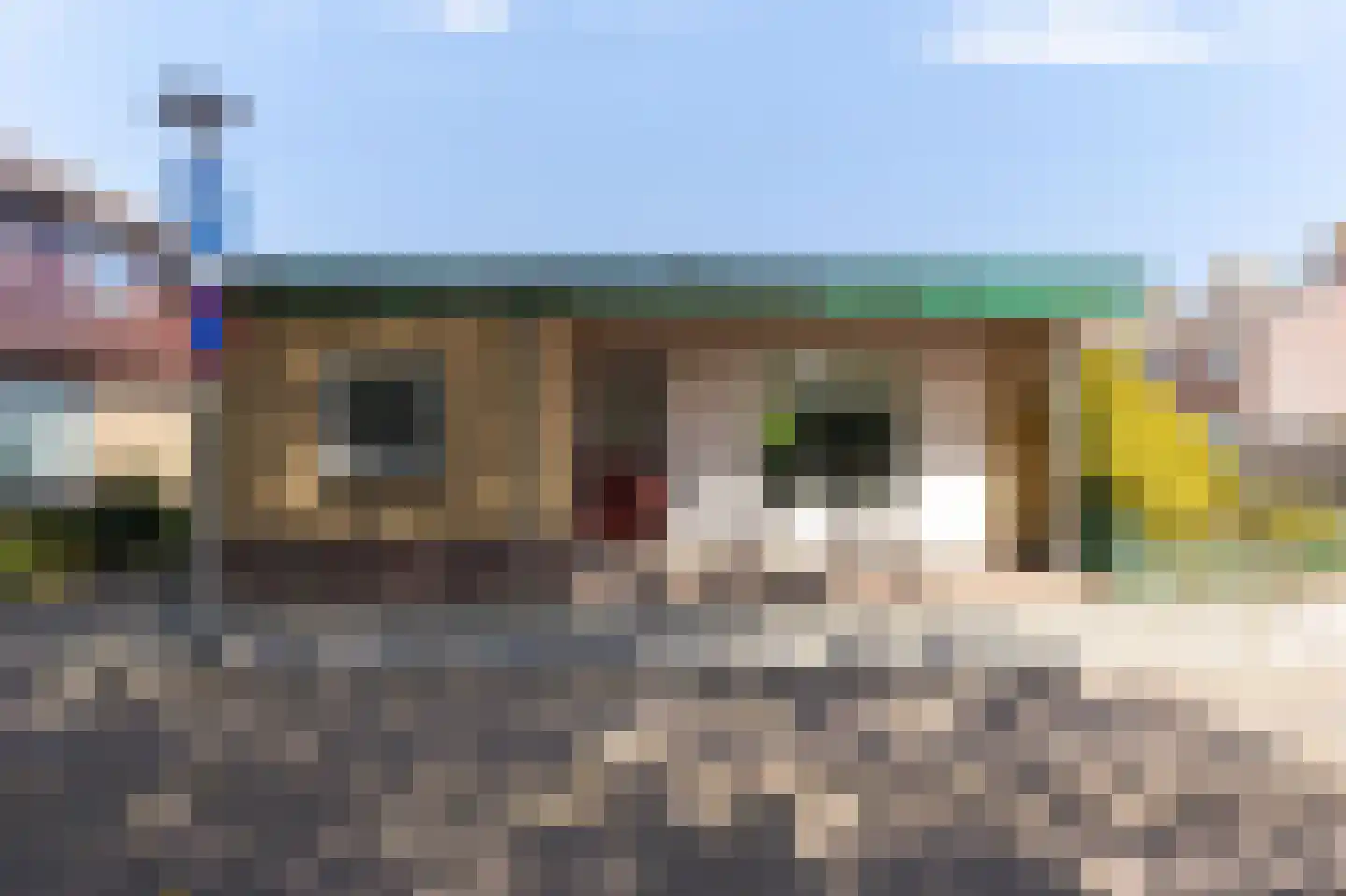 Irisstraat 5 Hippolytushoef thumbnail 5