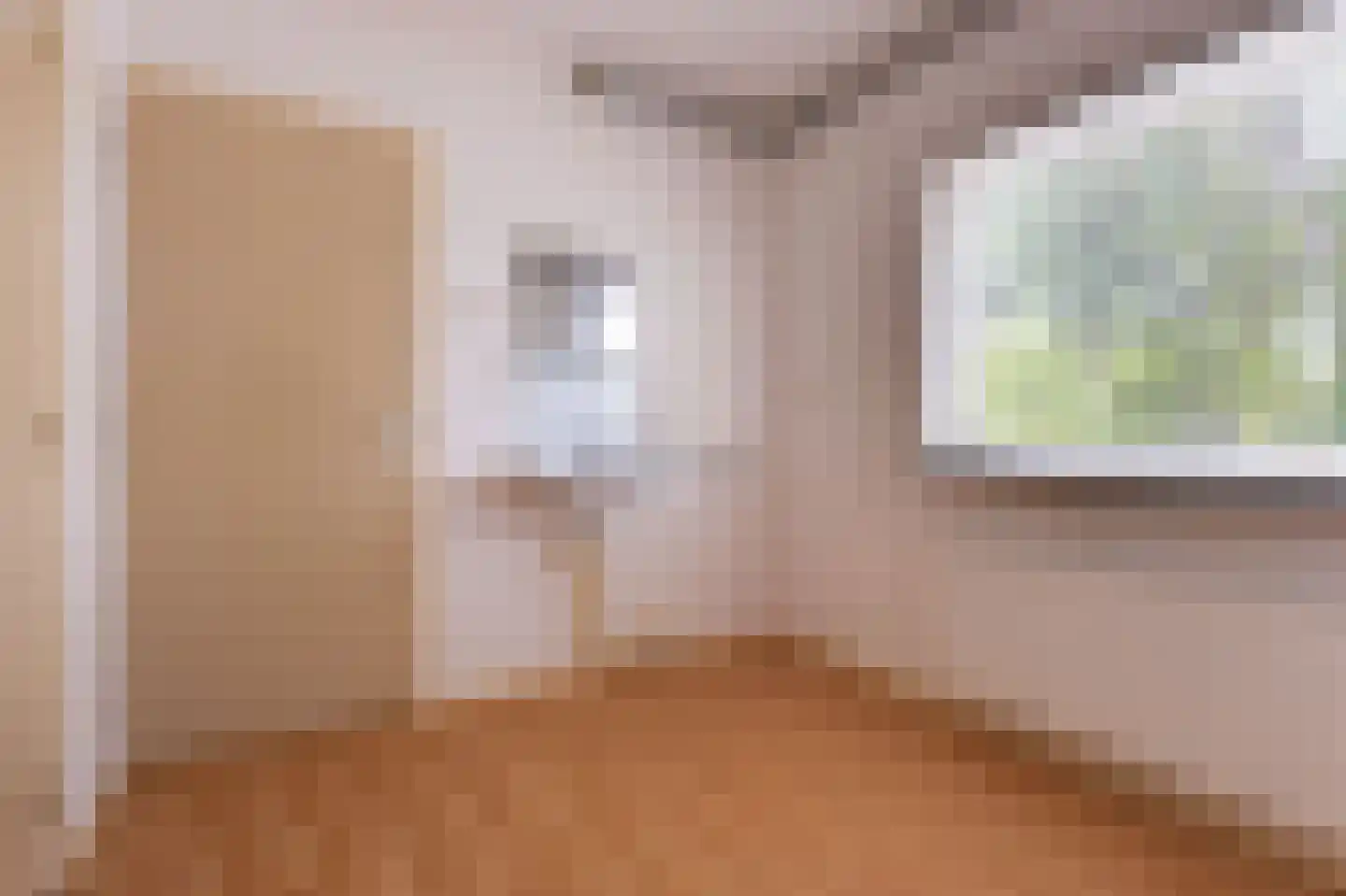 Irisstraat 5 Hippolytushoef thumbnail 8
