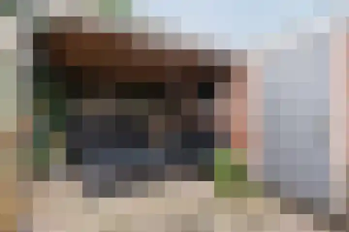 Irisstraat 5 Katwijk thumbnail 38