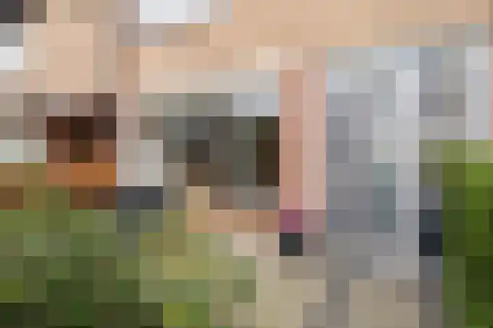 Irisstraat 5 Katwijk thumbnail 7