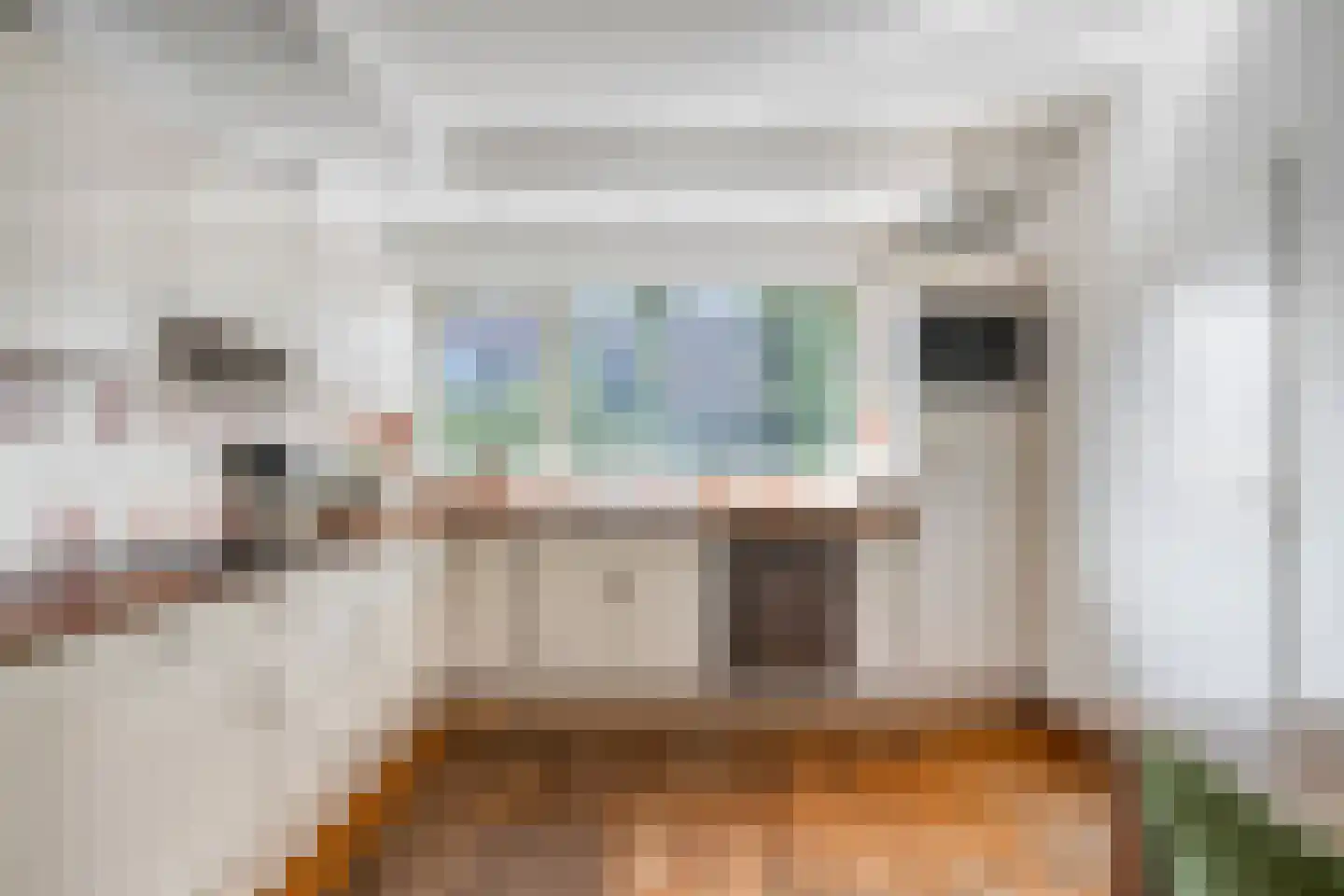 Irisstraat 5 Rosmalen thumbnail 13