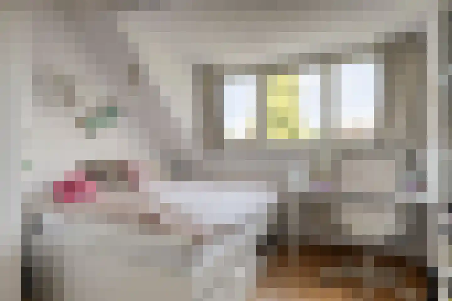 Irisstraat 5 Rosmalen thumbnail 28