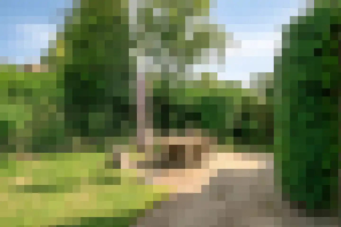 Irisstraat 5 Rosmalen thumbnail 34
