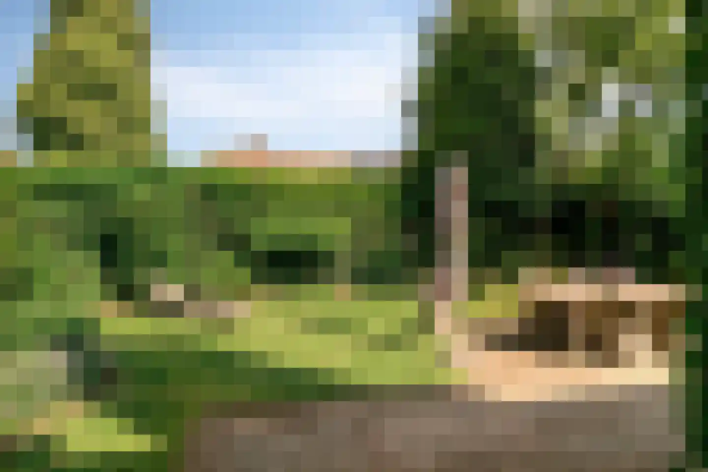 Irisstraat 5 Rosmalen thumbnail 35