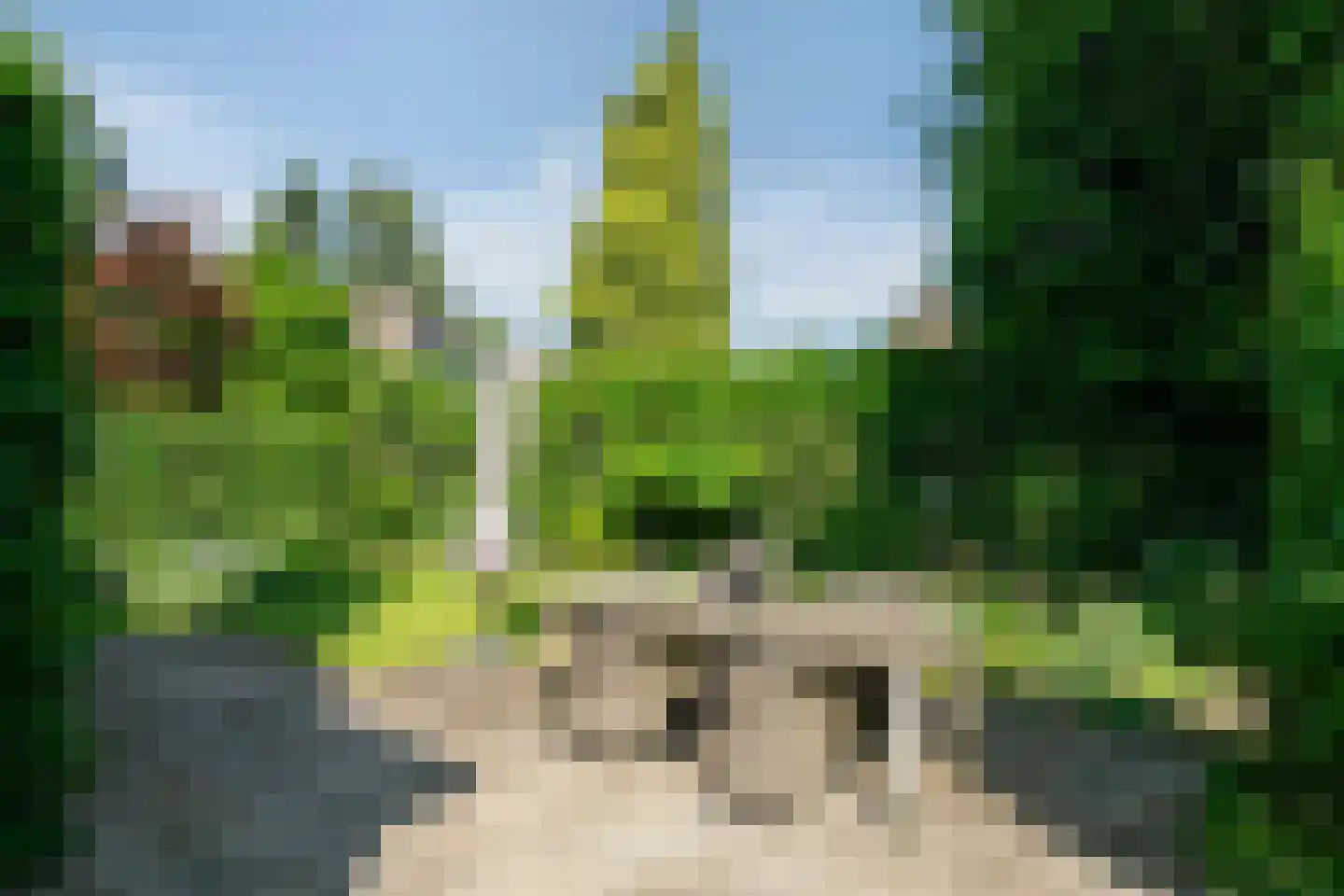 Irisstraat 5 Rosmalen thumbnail 39