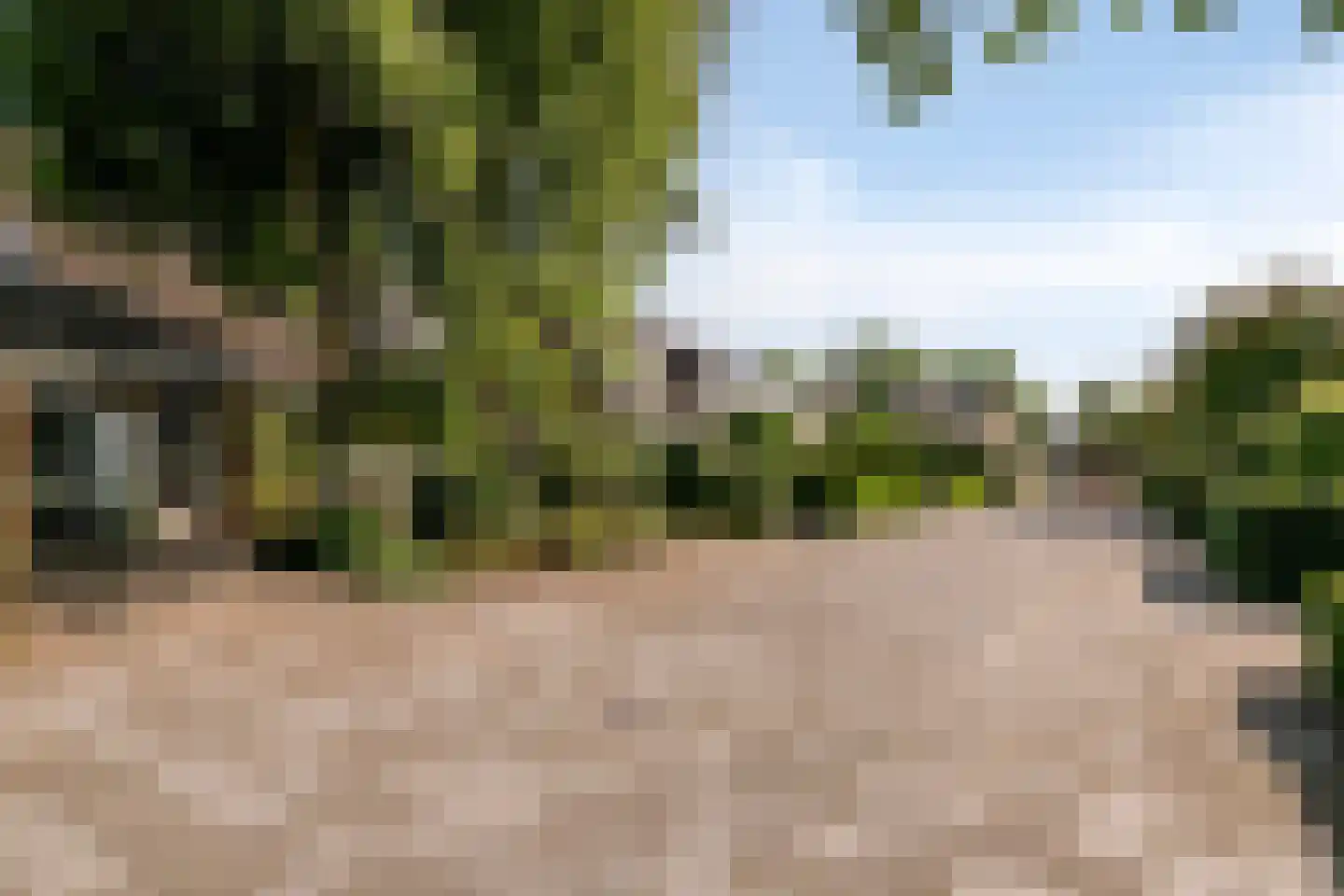 Irisstraat 5 Rosmalen thumbnail 43