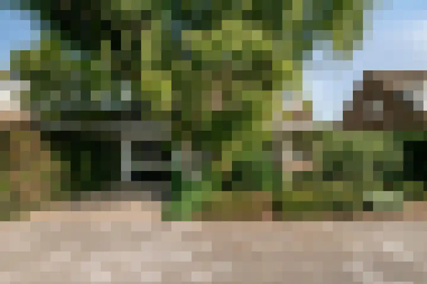 Irisstraat 5 Rosmalen thumbnail 44