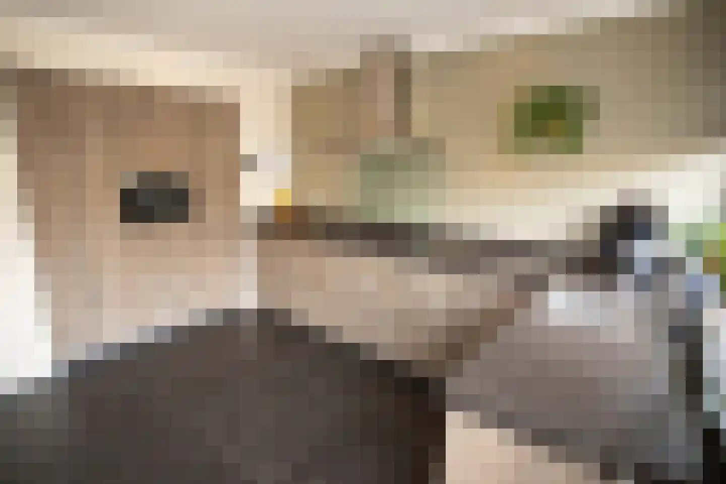 Irisstraat 5 Wierden thumbnail 20