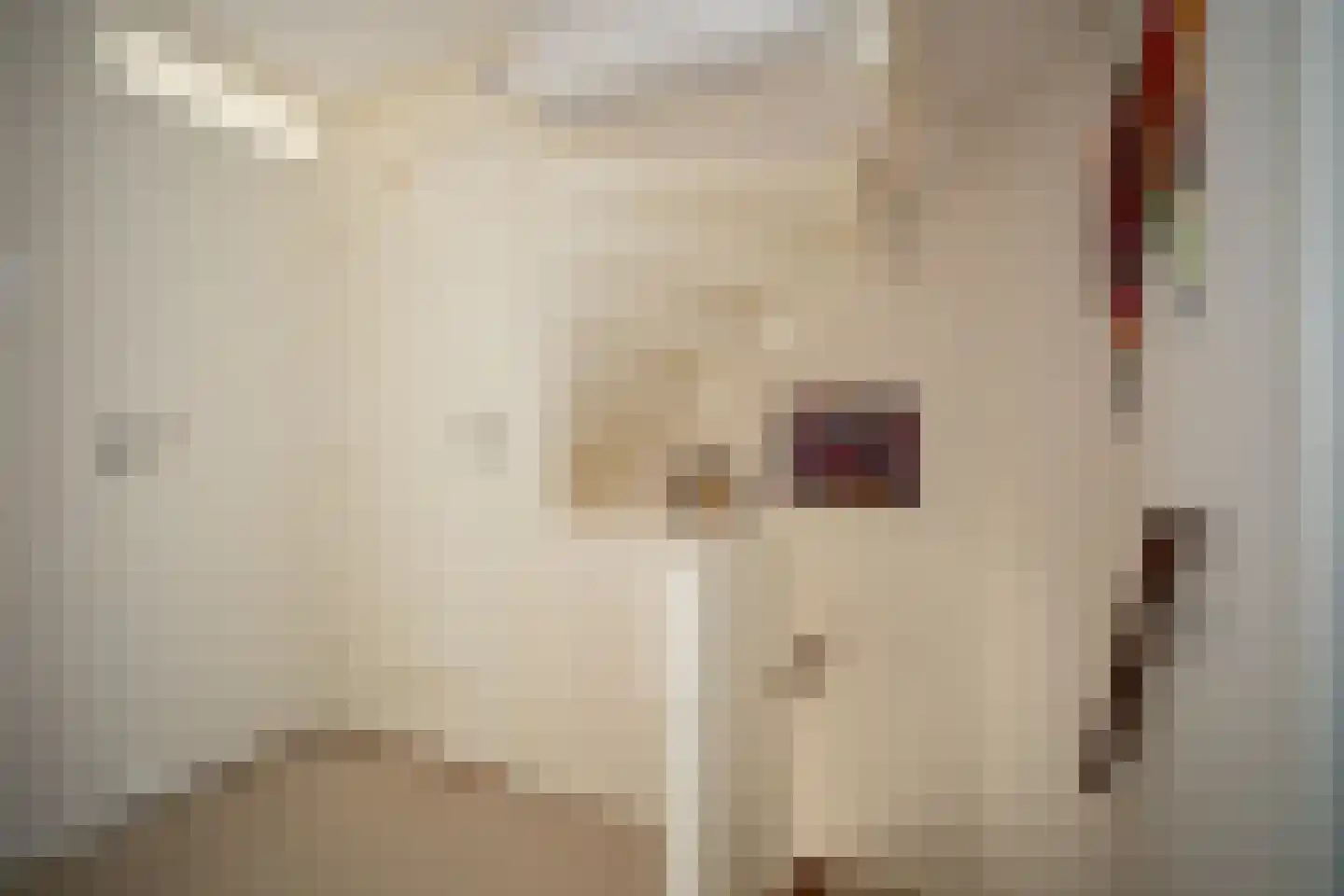 Irisstraat 5 Wierden thumbnail 26