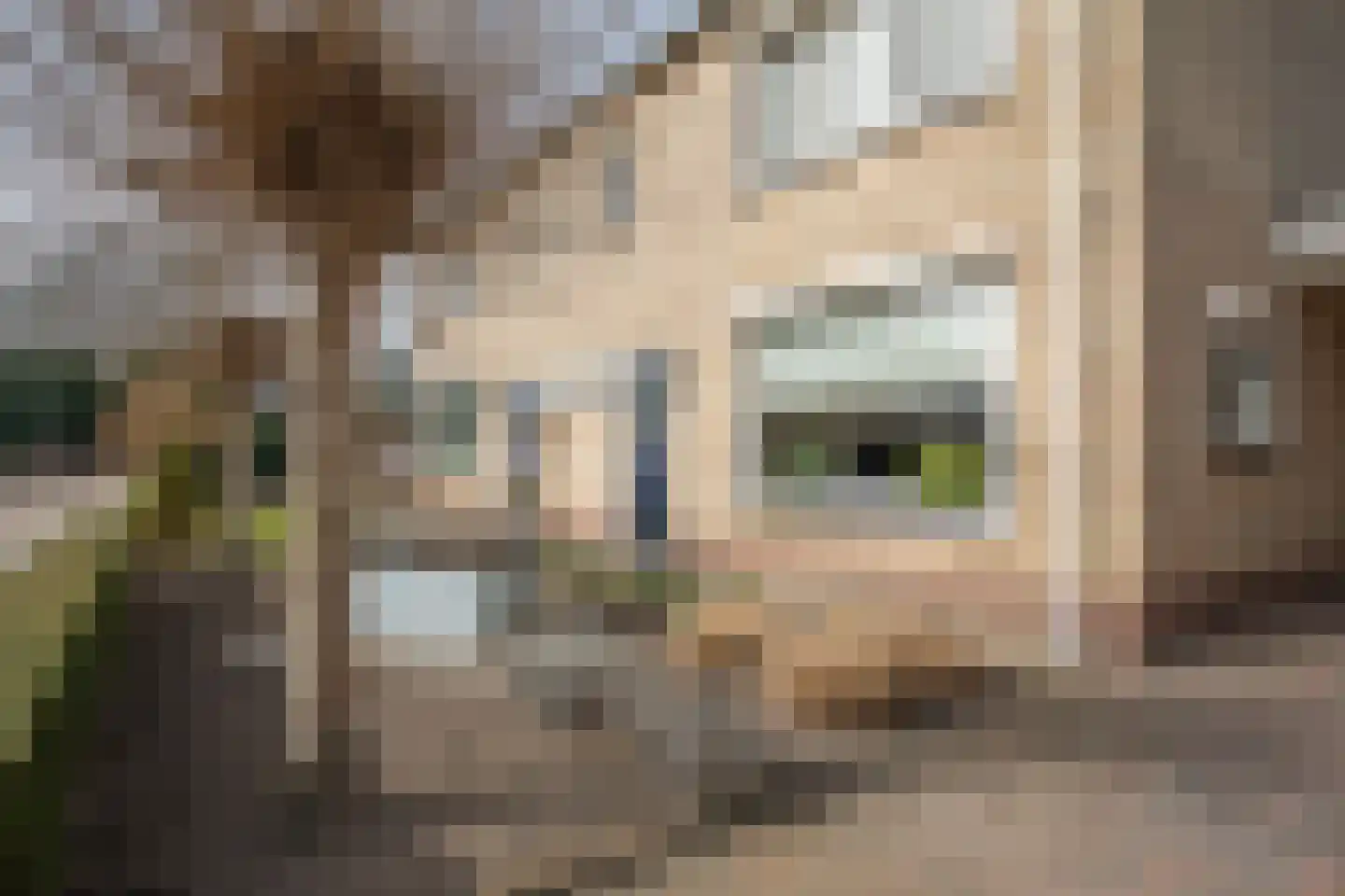 Irisstraat 5 Wierden thumbnail 4