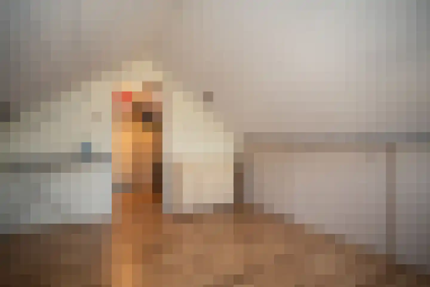 Irisstraat 5 Wierden thumbnail 41