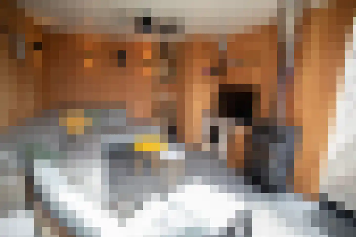 Irisstraat 5 Wierden thumbnail 47