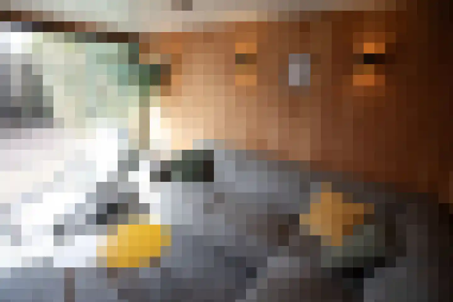 Irisstraat 5 Wierden thumbnail 48
