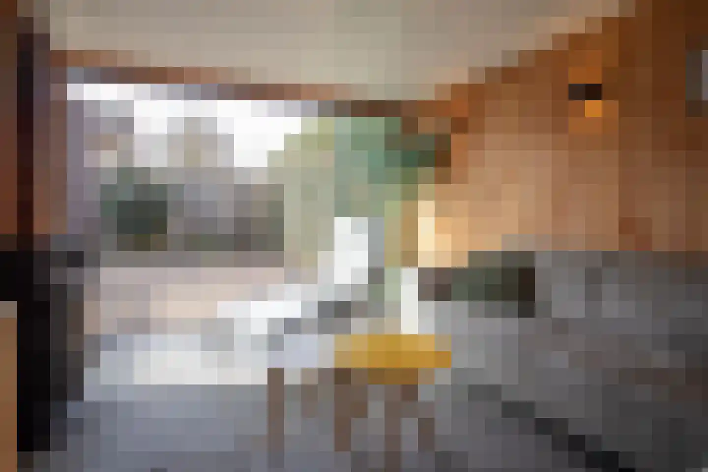 Irisstraat 5 Wierden thumbnail 49