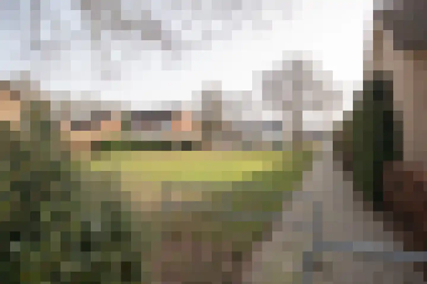 Irisstraat 5 Wierden thumbnail 51