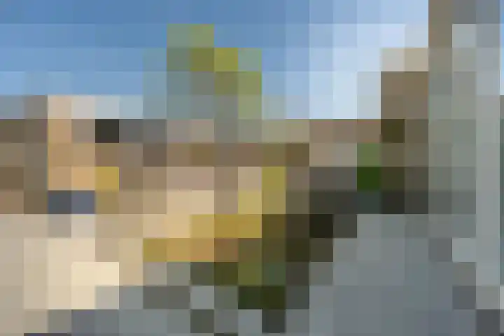 Irisstraat 5 Zuid-Beijerland thumbnail 11