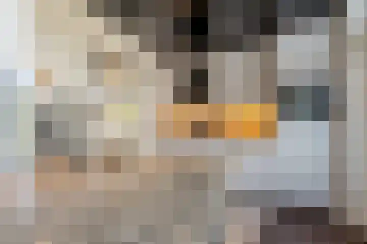 Irisstraat 5 Zuid-Beijerland thumbnail 21