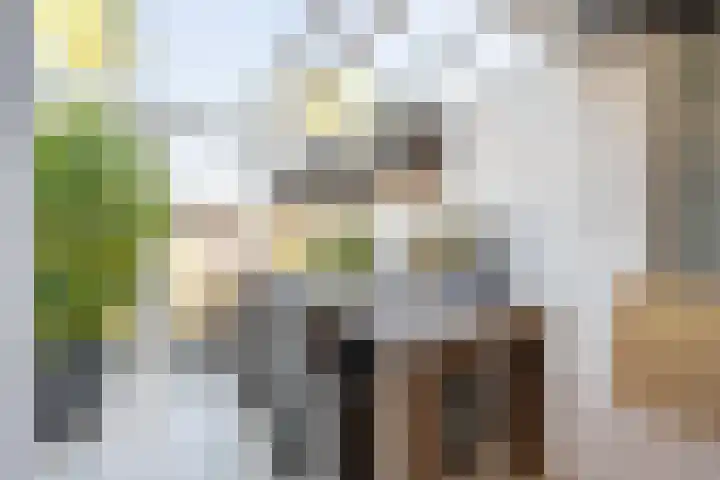 Irisstraat 5 Zuid-Beijerland thumbnail 26