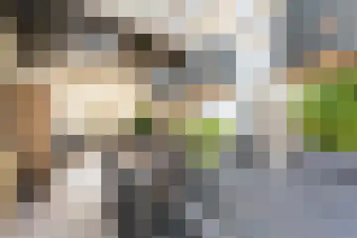 Irisstraat 5 Zuid-Beijerland thumbnail 28