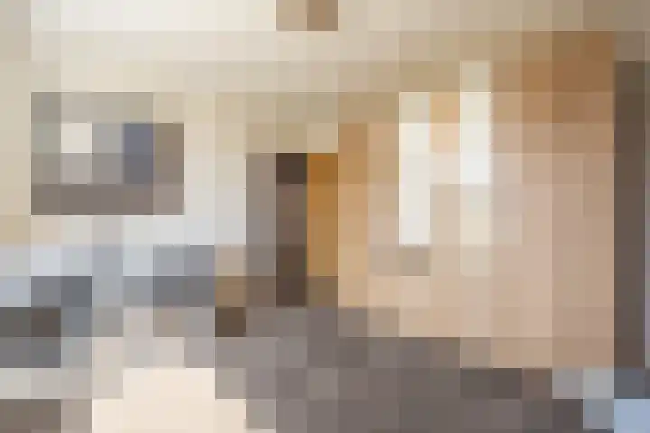 Irisstraat 5 Zuid-Beijerland thumbnail 35
