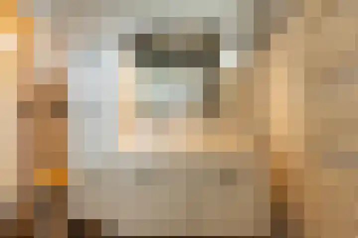 Irisstraat 5 Zuid-Beijerland thumbnail 38