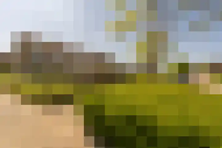 Irisstraat 5 Zuid-Beijerland thumbnail 5