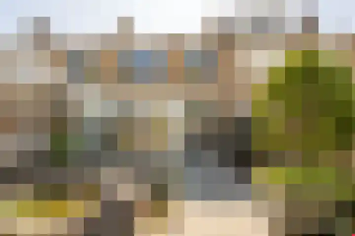 Irisstraat 5 Zuid-Beijerland thumbnail 6