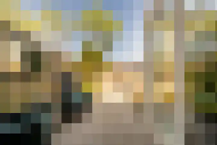 Irisstraat 5 Zuid-Beijerland thumbnail 8