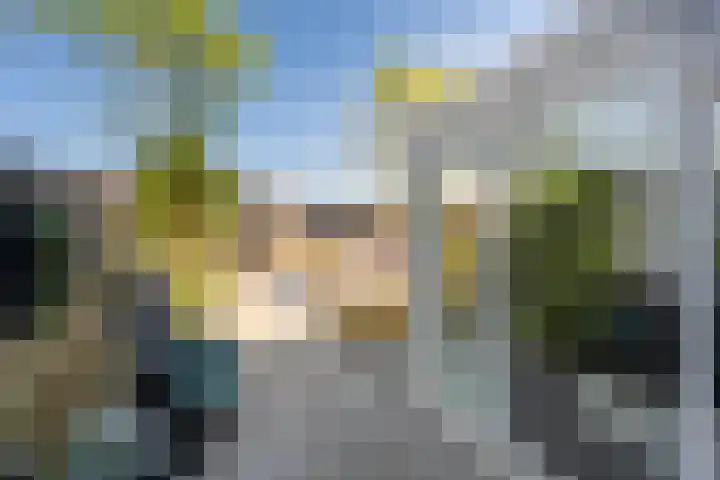 Irisstraat 5 Zuid-Beijerland thumbnail 9