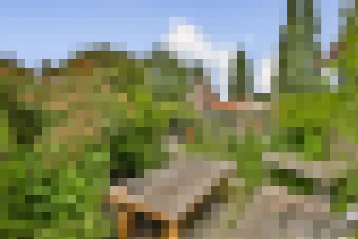 Irisstraat 55 Vlaardingen thumbnail 12