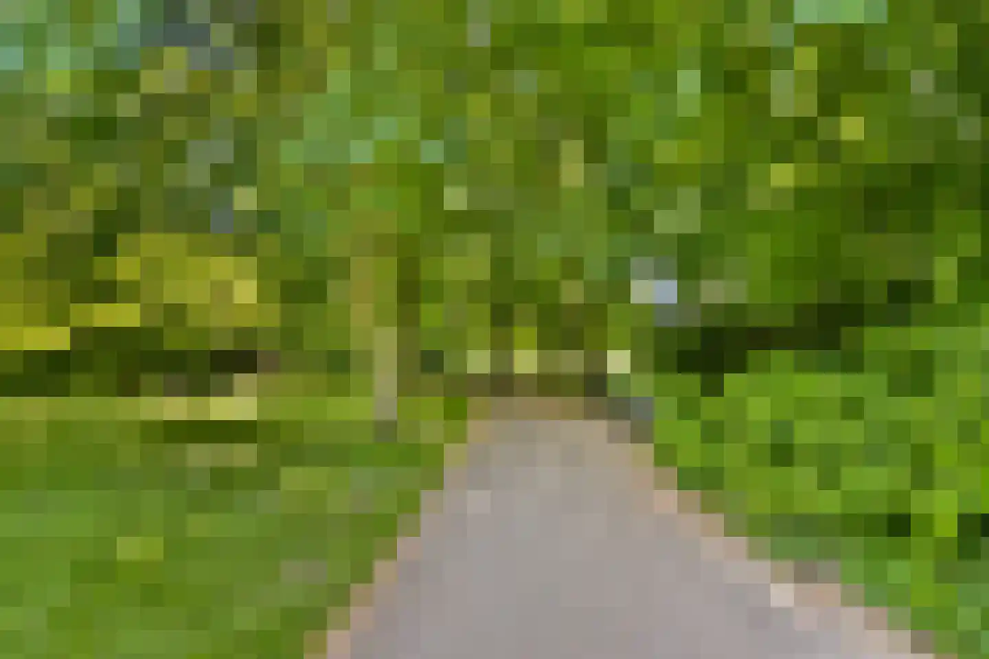 Irisstraat 55 Vlaardingen thumbnail 24