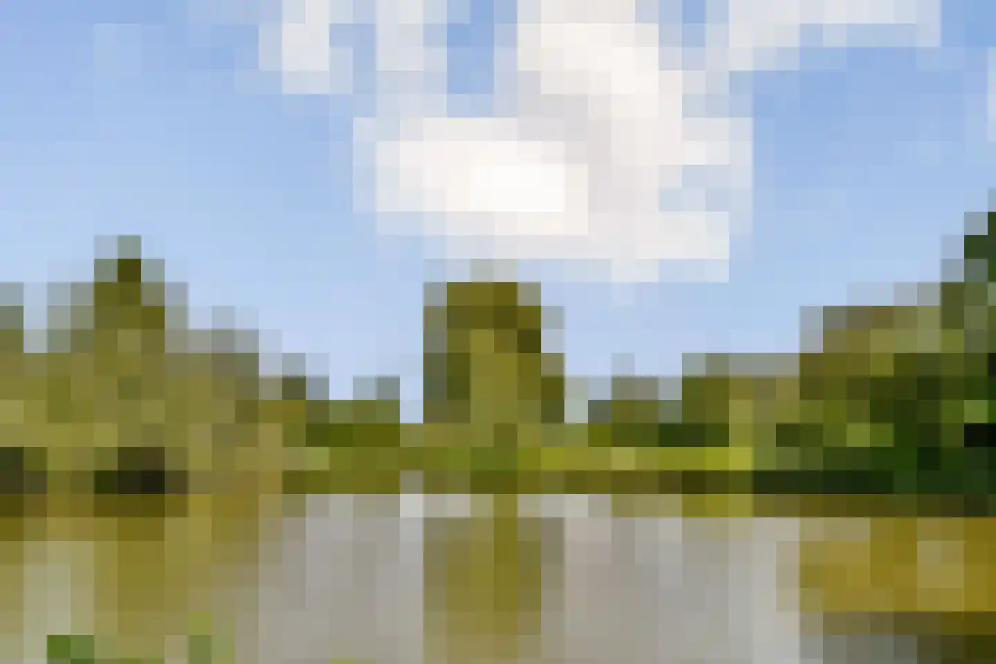 Irisstraat 55 Vlaardingen thumbnail 25