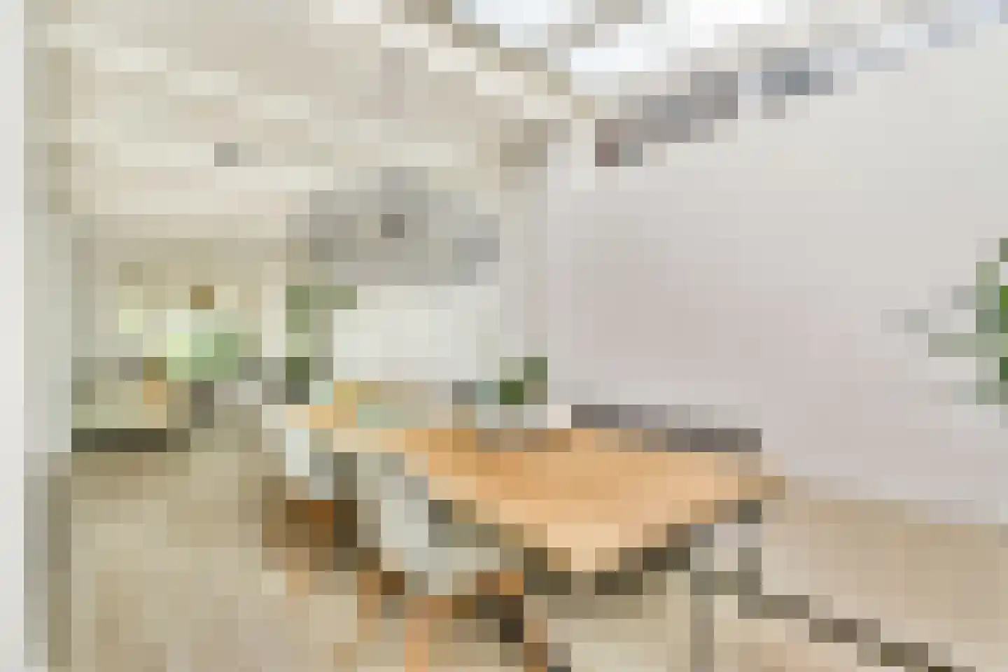 Irisstraat 55 Vlaardingen thumbnail 8