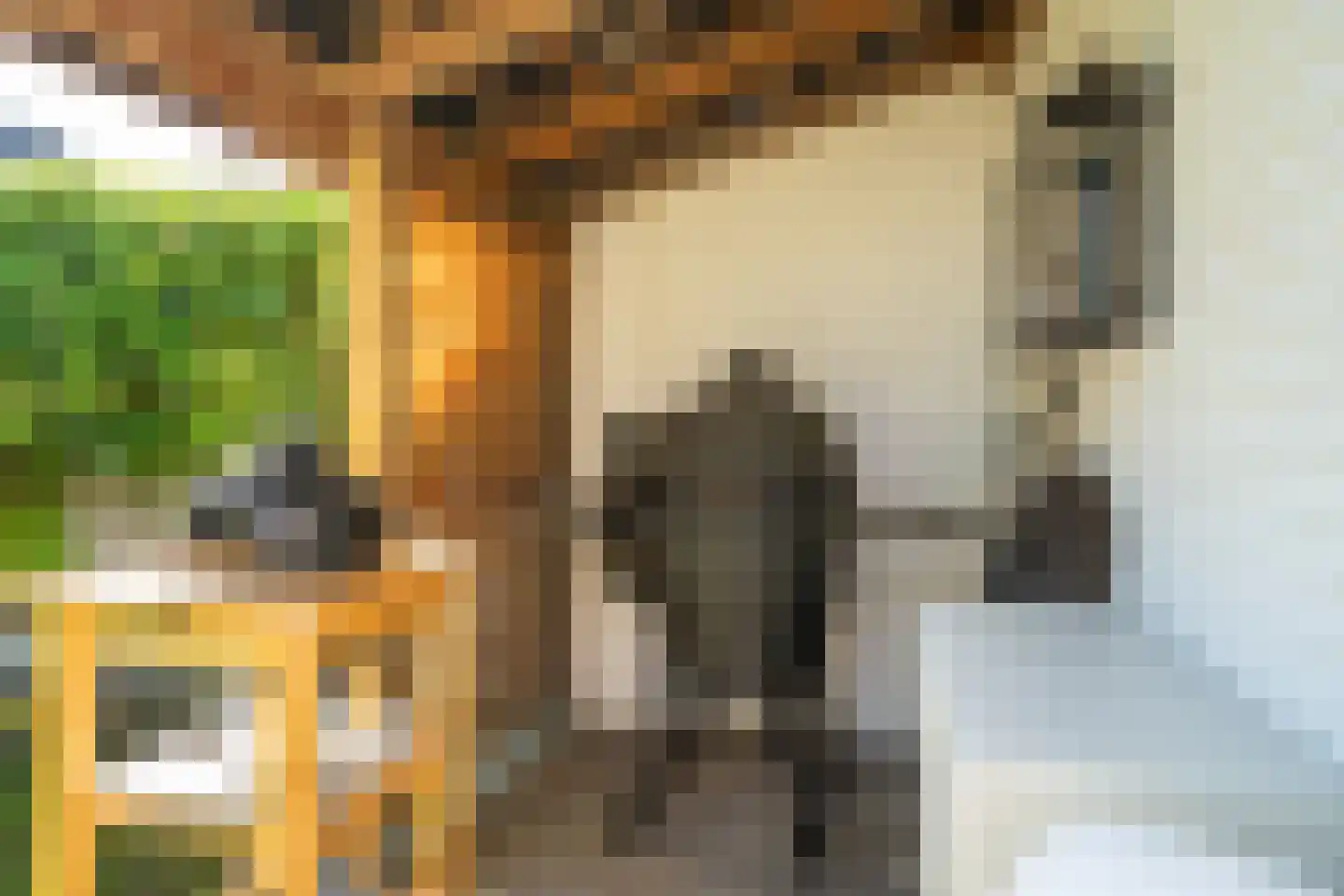 Irisstraat 56 Enschede thumbnail 41