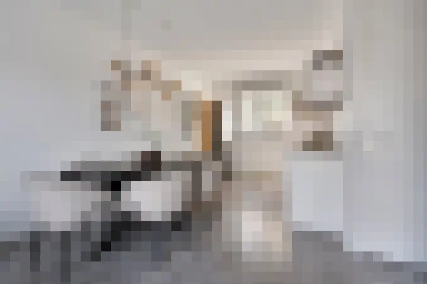Irisstraat 57 Losser thumbnail 11