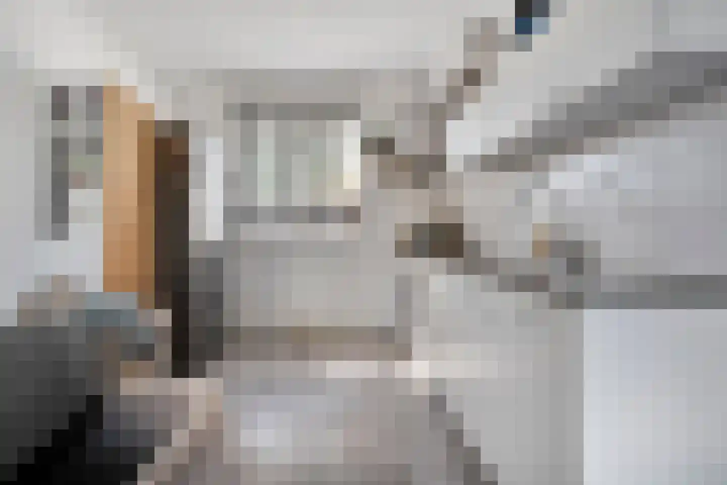 Irisstraat 57 Losser thumbnail 12