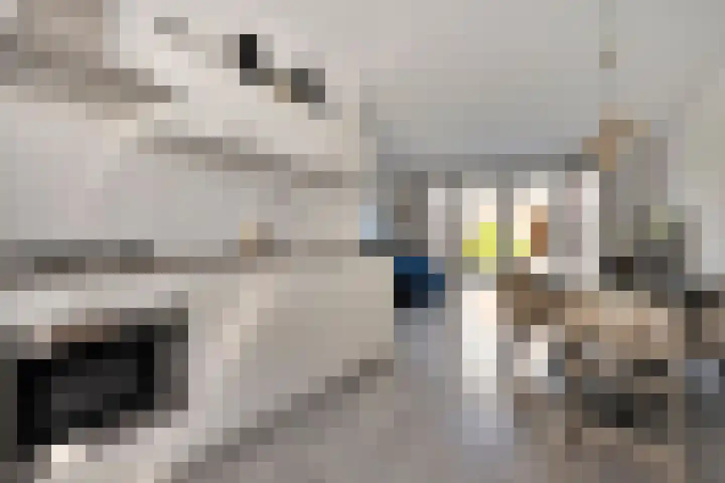 Irisstraat 57 Losser thumbnail 13