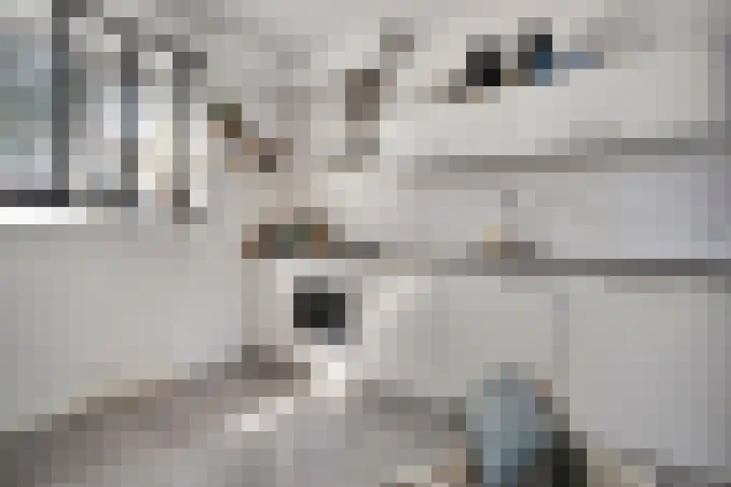 Irisstraat 57 Losser thumbnail 14