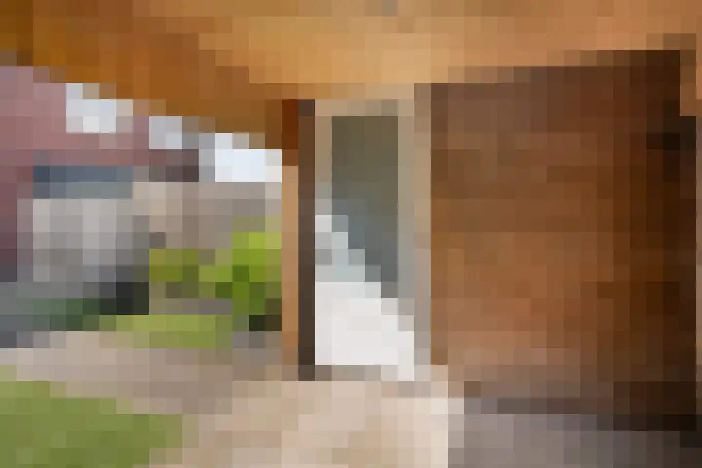 Irisstraat 57 Losser thumbnail 29