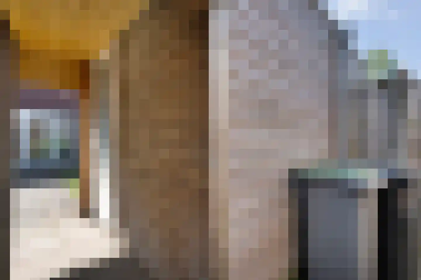 Irisstraat 57 Losser thumbnail 33