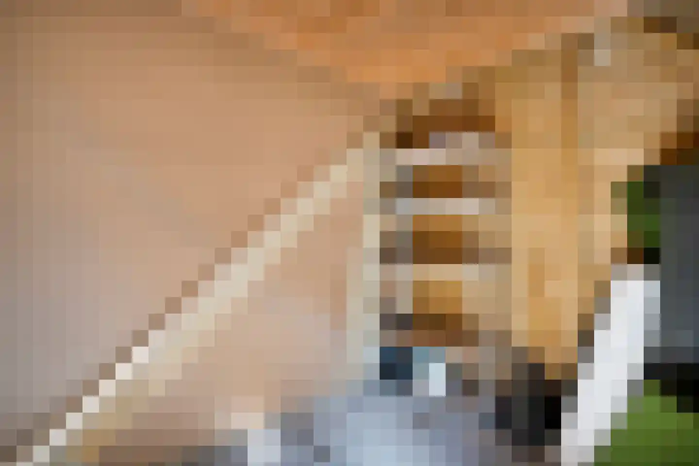 Irisstraat 57 Losser thumbnail 34