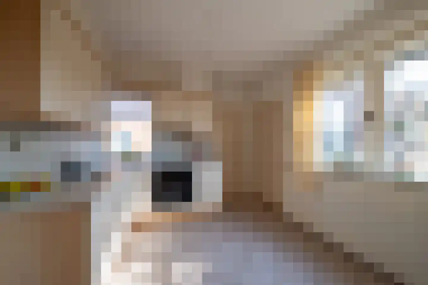 Irisstraat 6 Goor thumbnail 8