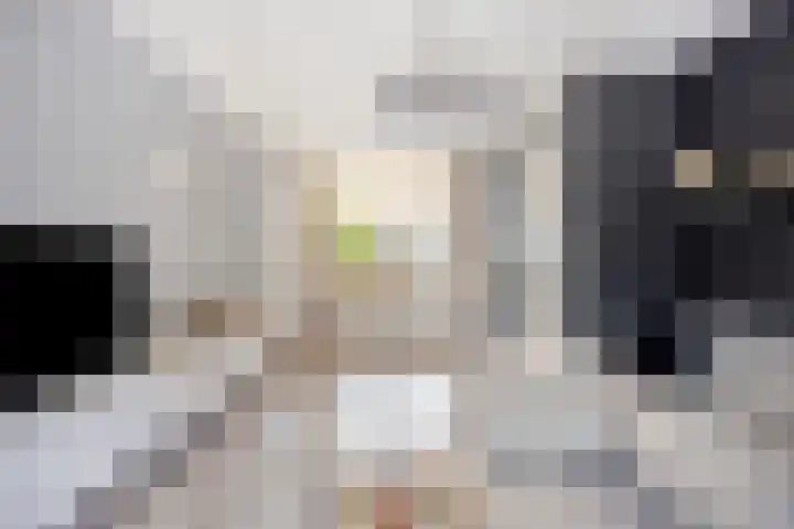 Irisstraat 6 Spijkenisse thumbnail 10