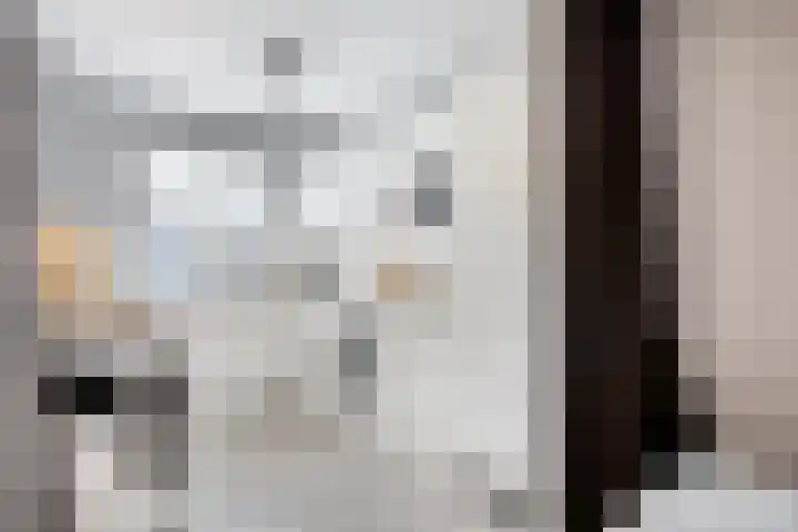 Irisstraat 6 Spijkenisse thumbnail 13