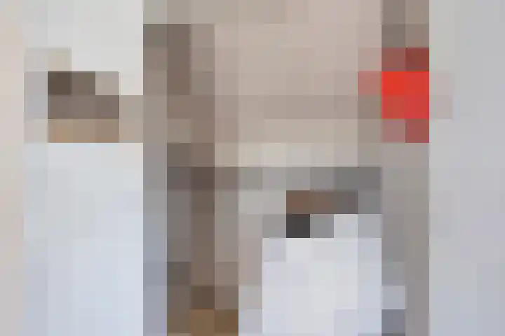 Irisstraat 6 Spijkenisse thumbnail 22